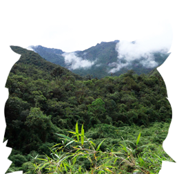 Reserva Quitahuayco